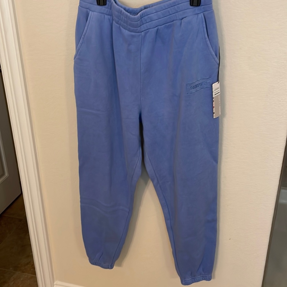 Forever 21 Pantone Plus Size Fleece Joggers